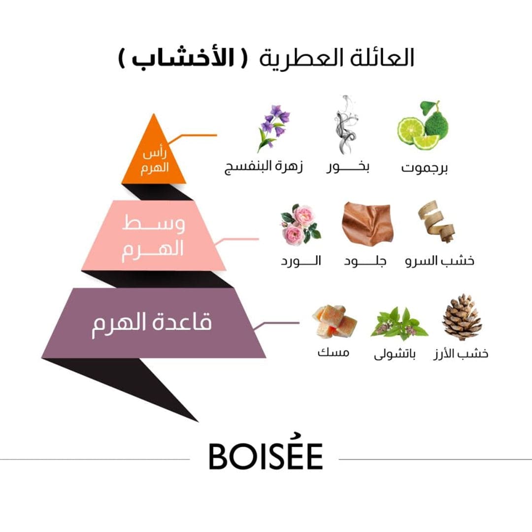 Al-Majed Oud Boisee Classic Eau De Parfum - 150ml Perfume - XOXO cosmetics