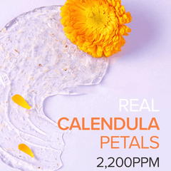 Mary & May Vegan Calendula Peptide Ageless Sleeping Musk - 30g Face Mask - XOXO cosmetics