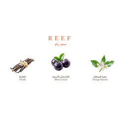 Reef Mini Collection - Elegance and Luxury in Your Pocket - 15ml Perfume - XOXO cosmetics