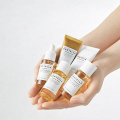 Skin1004 Centella Travel Kit Skin Care Set - XOXO cosmetics