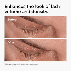 The Ordinary Multi-Peptide Lash & Brow Serum Eyelashes Care - XOXO cosmetics