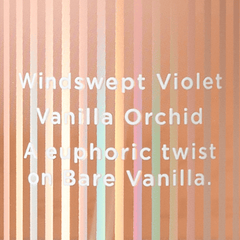 Victoria's Secret Bare Vanilla Bliss Fragrance Mist Body Mist - XOXO cosmetics
