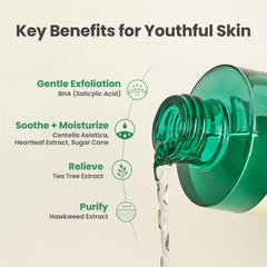 AXIS-Y Daily Purifying Treatment Toner - 80ml Toner - XOXO cosmetics