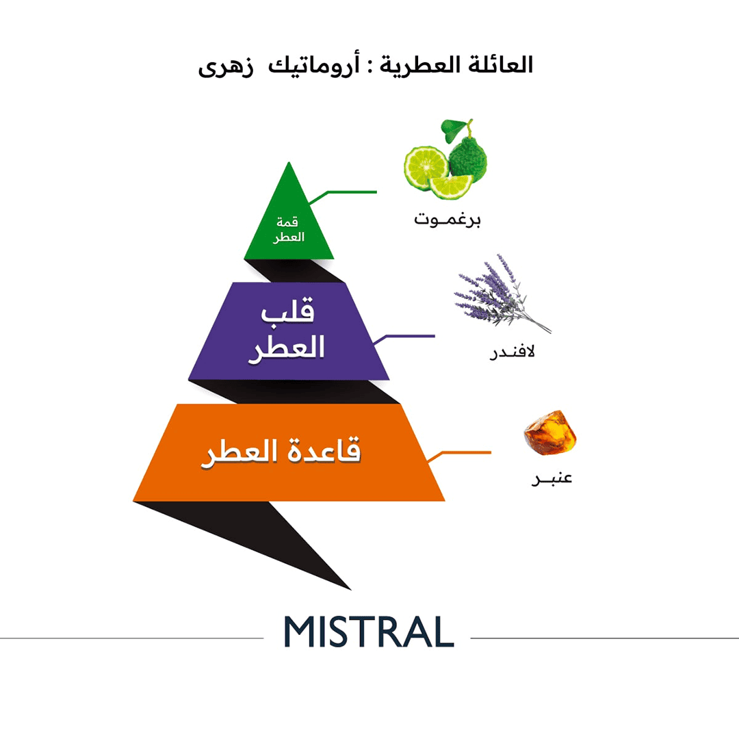 Al-Majed Oud Mistral Classic Eau De Parfum - 150ml Perfume - XOXO cosmetics