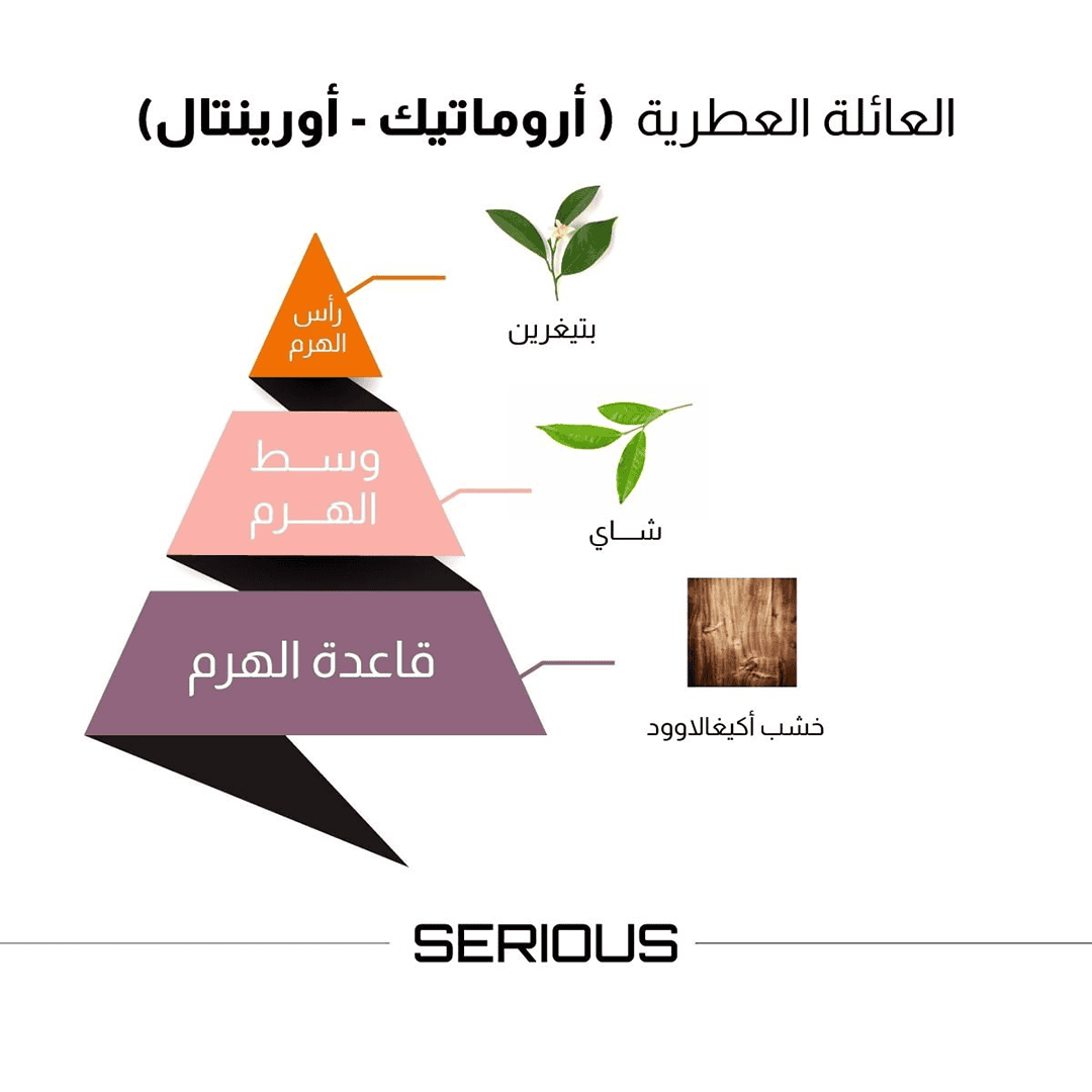 Al-Majed Oud Serious Eau De Parfum - 100ml Perfume - XOXO cosmetics