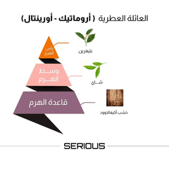 Al-Majed Oud Serious Eau De Parfum - 100ml Perfume - XOXO cosmetics