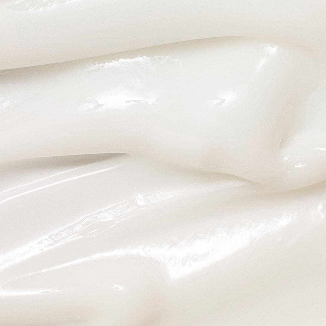 Beauty Of Joseon Dynasty Moisturizing Cream 50ml Moisturizer - XOXO cosmetics