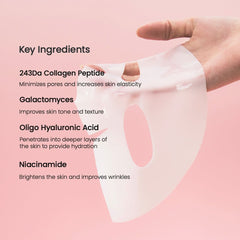 Biodance Bio Collagen-Real Deep Mask Face Mask - XOXO cosmetics