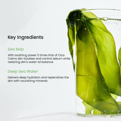 Biodance Refreshing Sea Kelp Real Deep Mask Face Mask - XOXO cosmetics