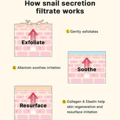 COSRX Advanced Snail Radiance Dual Essence - 80ml Face Serum - XOXO cosmetics