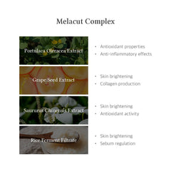 Dr.Althea 15% Niacinamide Purity Serum Face Serum - XOXO cosmetics