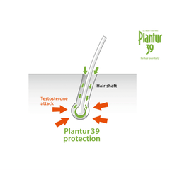 Dr.Wolff Plantur 39 Phyto-coffein Tonikum - 200ml Hair Treatment - XOXO cosmetics