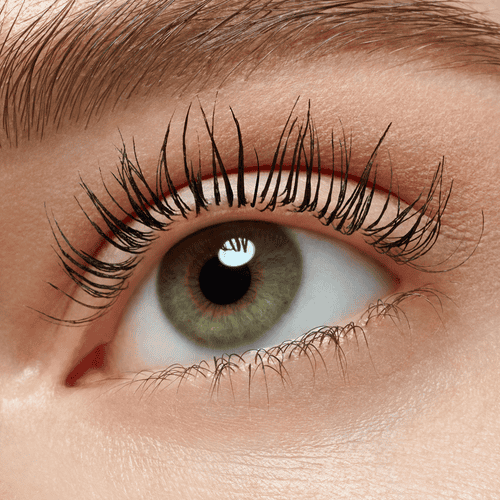 Essence Lash Without Limits Extreme Lengthening & Volume Mascara - 04 Black Tubing Mascara - XOXO cosmetics