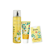Musk Mood Bundle - XOXO cosmetics