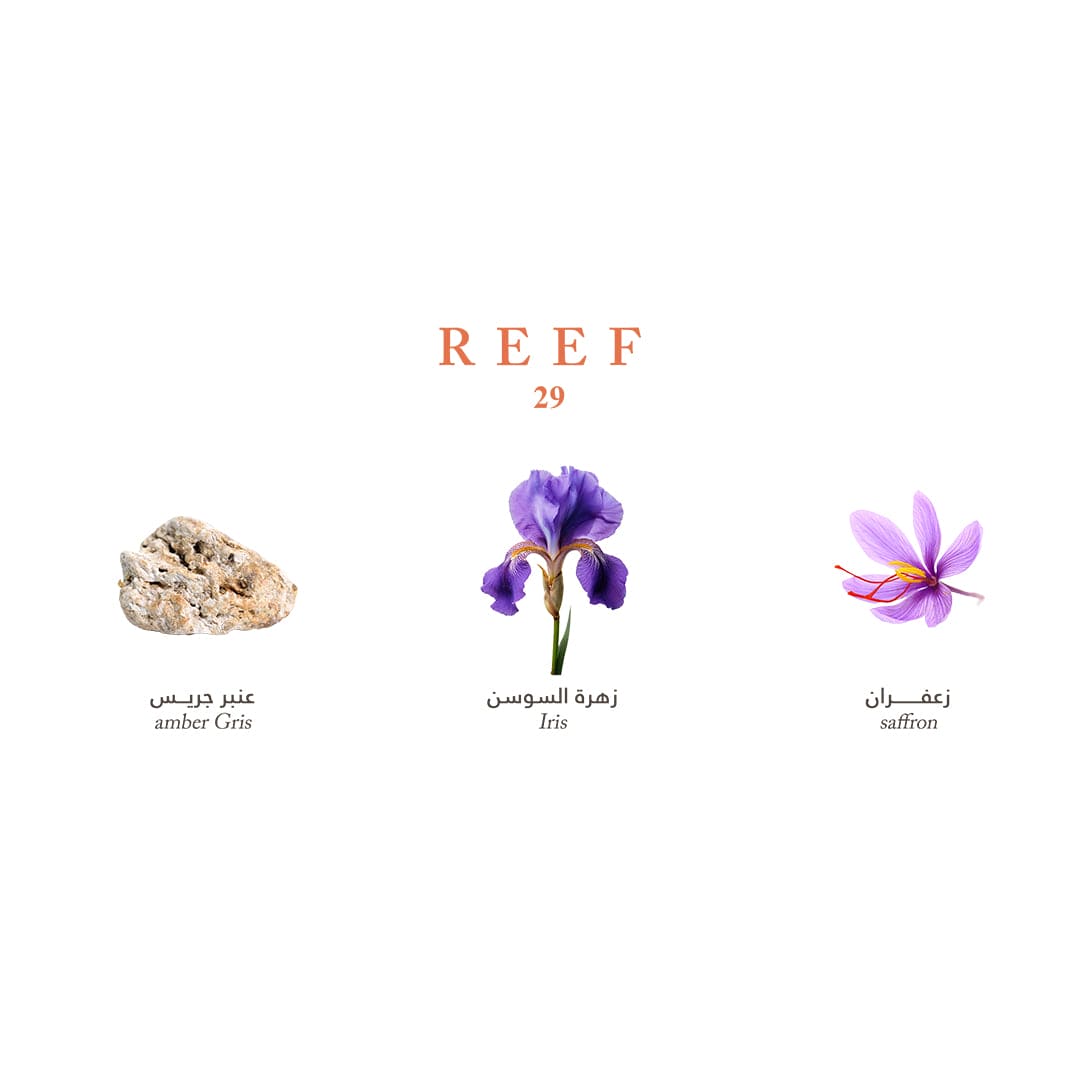 Reef Mini Collection - Elegance and Luxury in Your Pocket - 15ml Perfume - XOXO cosmetics