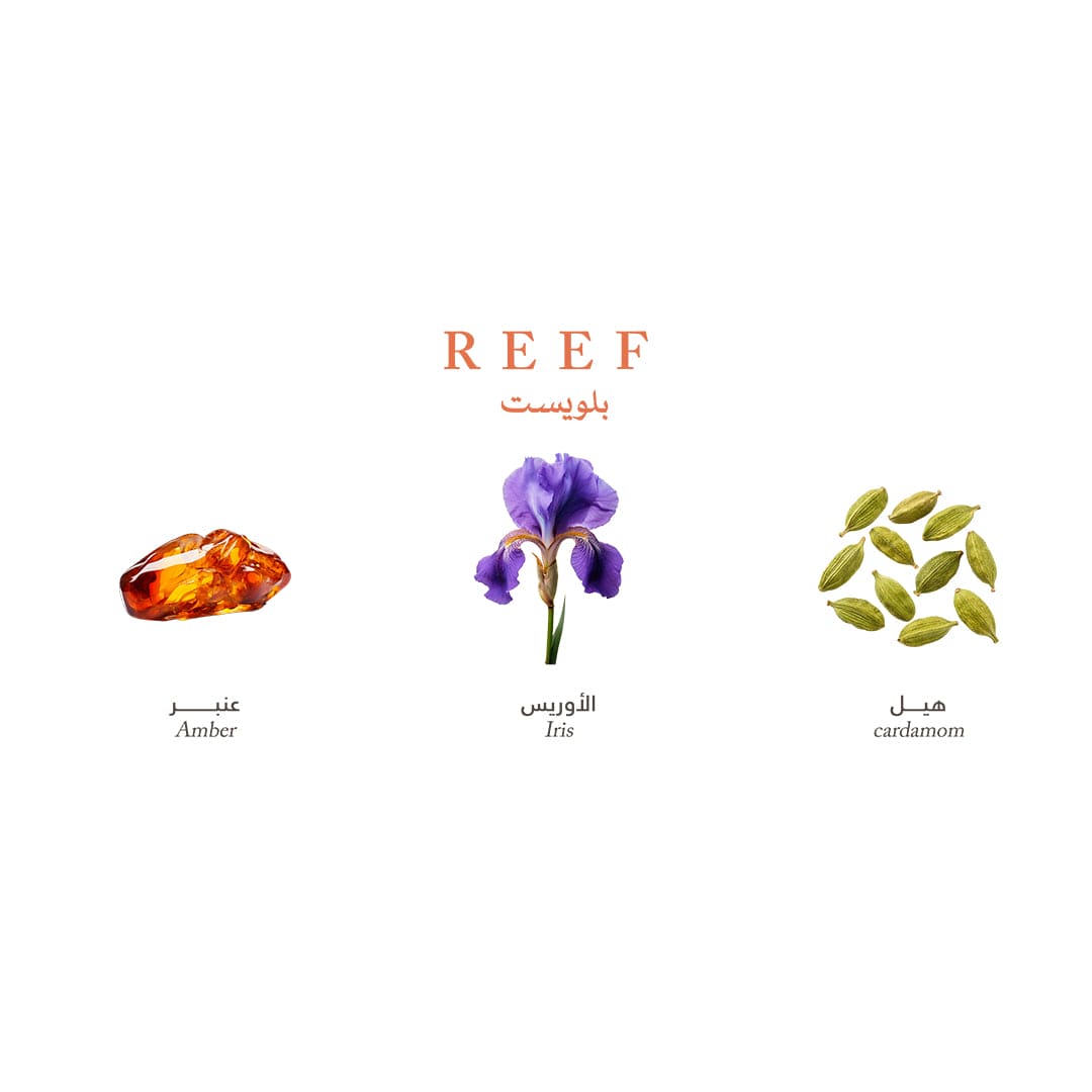 Reef Mini Collection - Elegance and Luxury in Your Pocket - 15ml Perfume - XOXO cosmetics