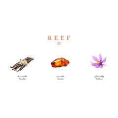 Reef Mini Collection - Elegance and Luxury in Your Pocket - 15ml Perfume - XOXO cosmetics