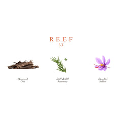 Reef Mini Collection - Elegance and Luxury in Your Pocket - 15ml Perfume - XOXO cosmetics