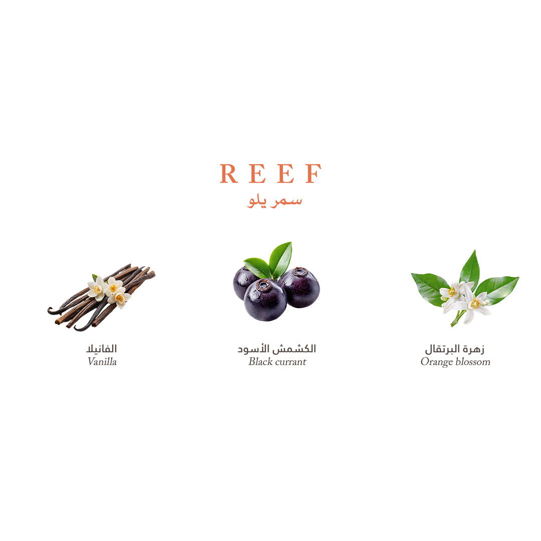 Reef Mini Collection - Elegance and Luxury in Your Pocket - 15ml Perfume - XOXO cosmetics