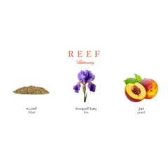 Reef Mini Collection - Elegance and Luxury in Your Pocket - 15ml Perfume - XOXO cosmetics