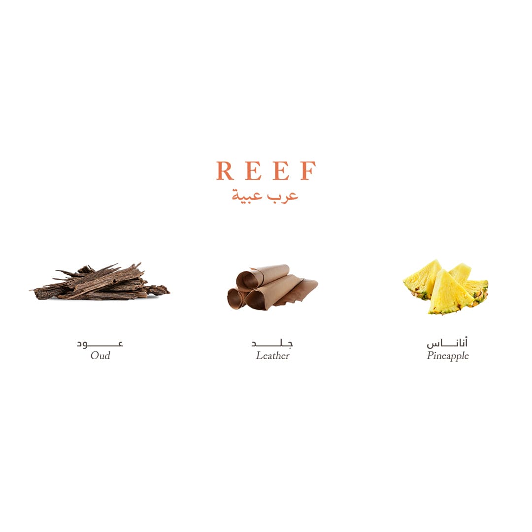 Reef Mini Collection - Elegance and Luxury in Your Pocket - 15ml Perfume - XOXO cosmetics
