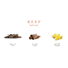 Reef Mini Collection - Elegance and Luxury in Your Pocket - 15ml Perfume - XOXO cosmetics