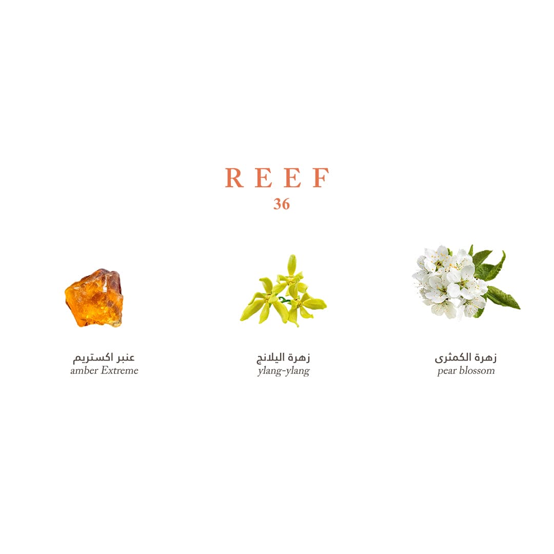 Reef Mini Collection - Elegance and Luxury in Your Pocket - 15ml Perfume - XOXO cosmetics