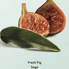 Victoria's Secret Fresh Fig Sage Hair and Body Mist - 236ml Body Mist - XOXO cosmetics