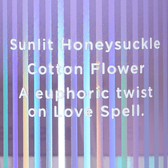 Victoria's Secret Love Spell Bliss Fragrance Mist Body Mist - XOXO cosmetics