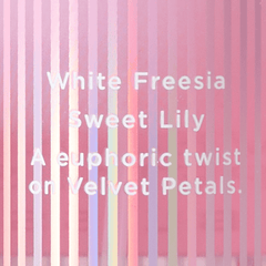 Victoria's Secret Velvet Petals Bliss Fragrance Mist Body Mist - XOXO cosmetics